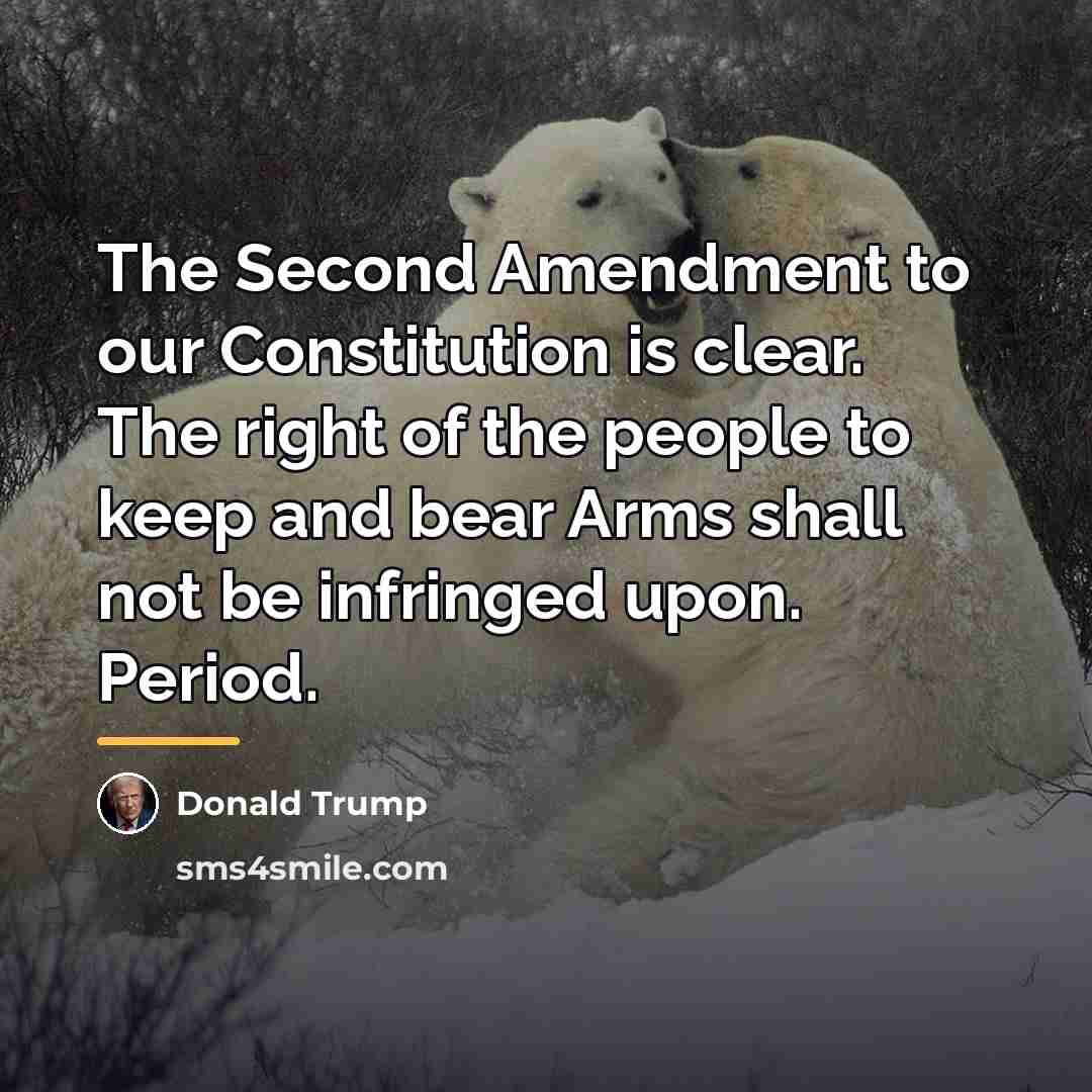 “The Second Amendment to our Constitution is clear. The right…” quote by Donald Trump
