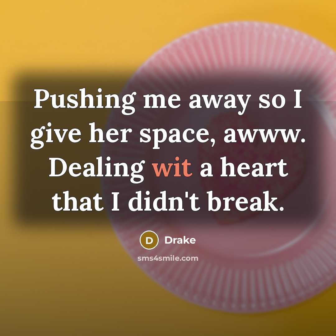 “Pushing me away so I give her space, awww. Dealing…” quote by Drake