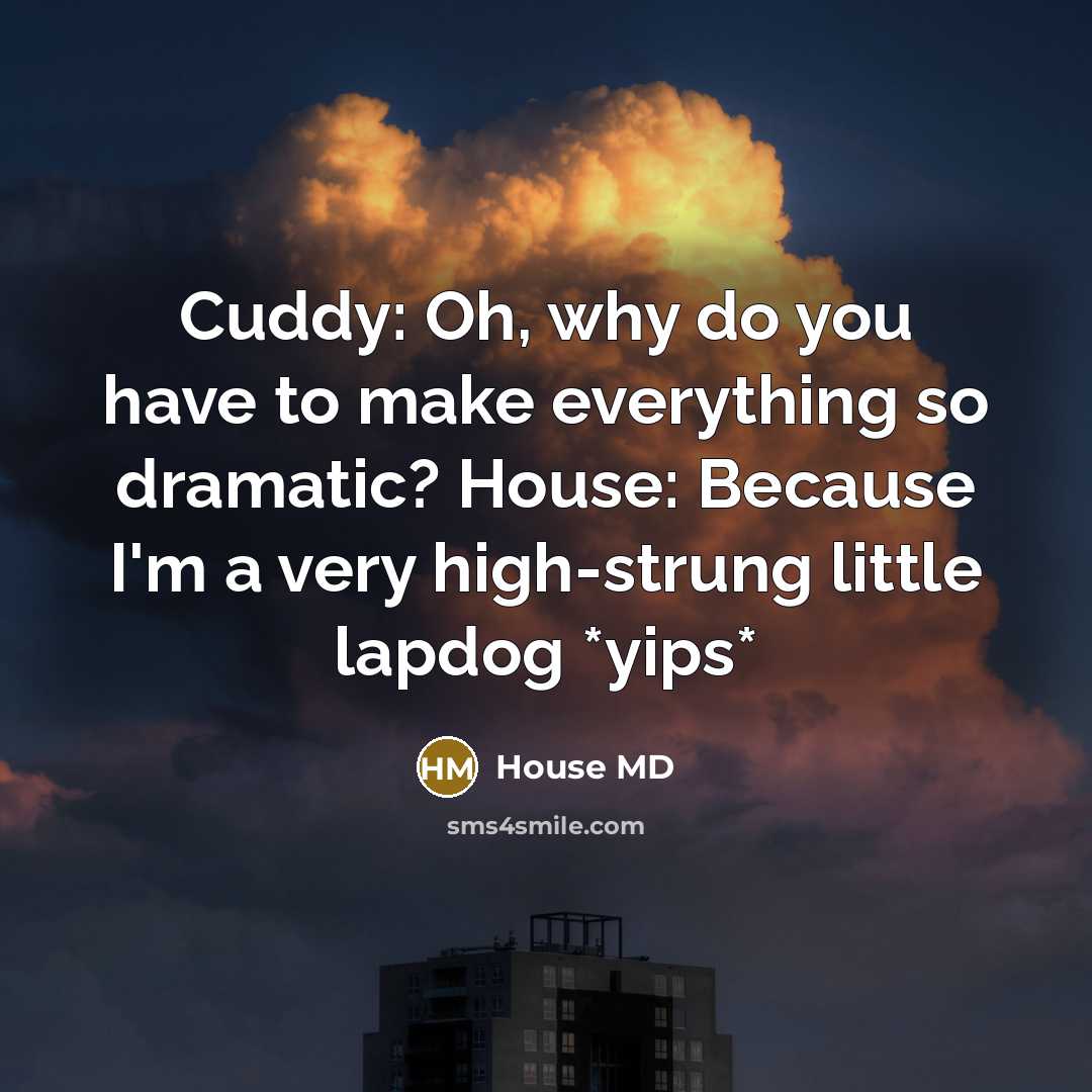 “Cuddy: Oh, why do you have to make everything so dramatic? House: Because I'm a very high-strung little lapdog *yips*” quote by House MD