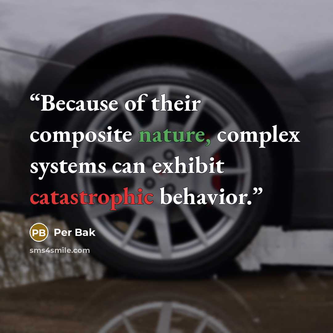 “Because of their composite nature, complex systems can exhibit catastrophic behavior.” quote by Per Bak
