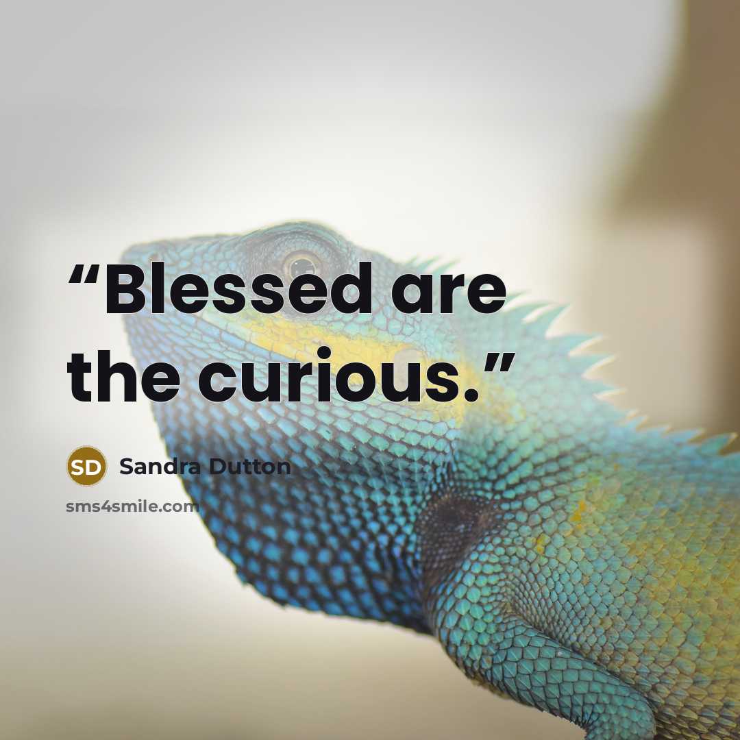 “Blessed are the curious.” quote by Sandra Dutton