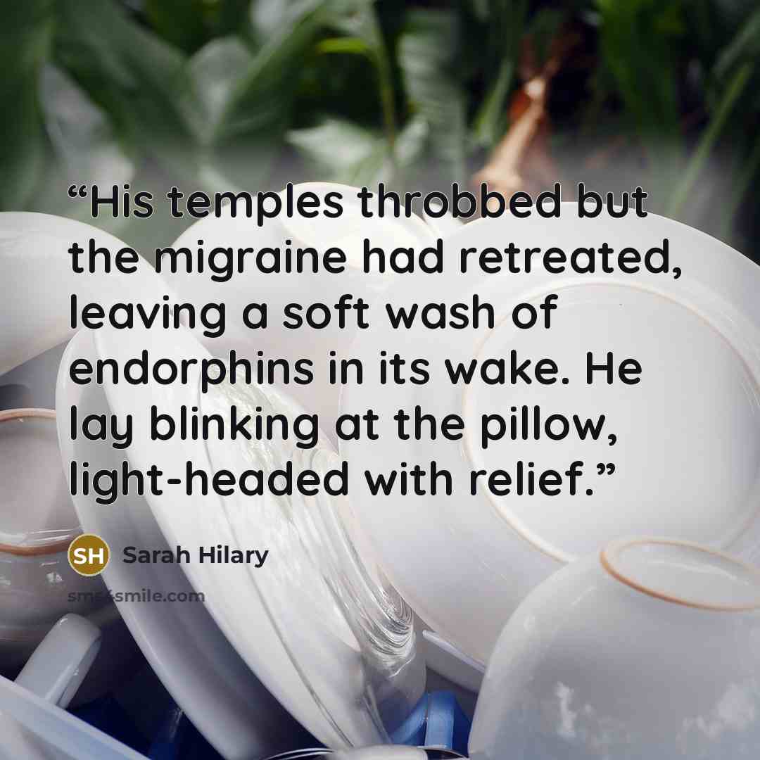 “His temples throbbed but the migraine had retreated, leaving a soft wash of endorphins in its wake. He lay blinking at the pillow, light-headed with relief.” quote by Sarah Hilary