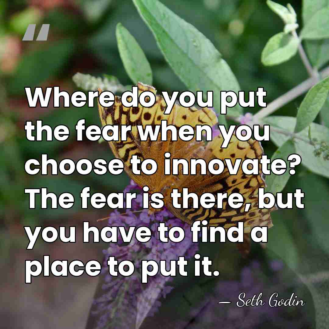 Where do you put the fear when you choose to innovate? The&hellip; - Seth Godin