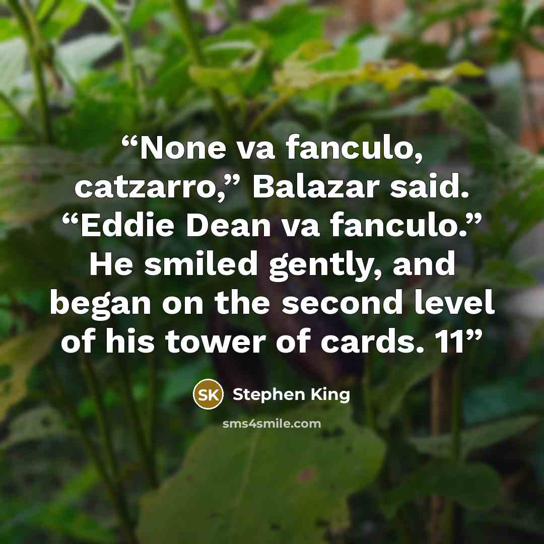 “None va fanculo, catzarro,” Balazar said. “Eddie Dean va fanculo.” He smiled gently, and began on the second level of his tower of cards. 11” quote by Stephen King