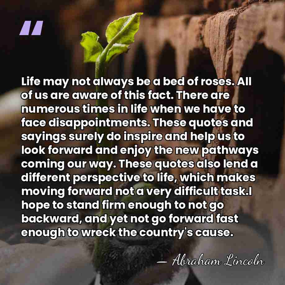 Life may not always be a bed of roses. All of us&hellip; - Abraham Lincoln