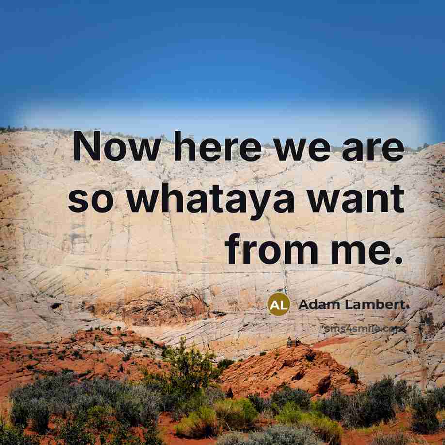 “Now here we are so whataya want from me.…” quote by Adam Lambert