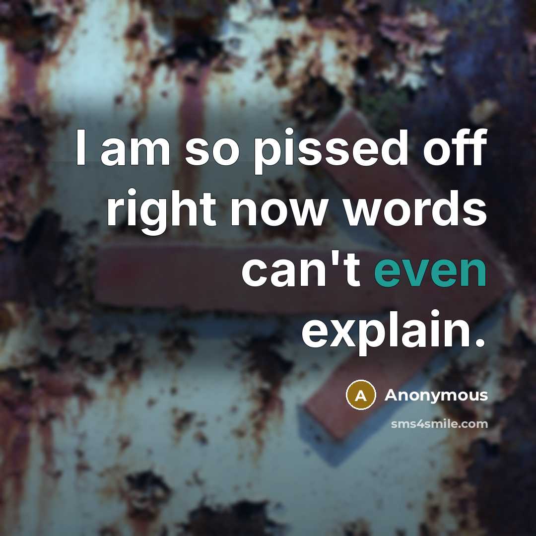 “I am so pissed off right now words can't even explain.” quote by Anonymous