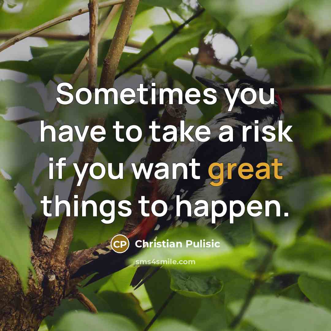 “Sometimes you have to take a risk if you want…” quote by Christian Pulisic