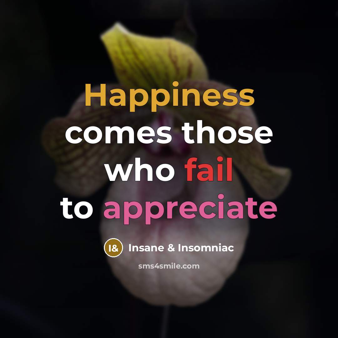 “Happiness comes those who fail to appreciate…” quote by Insane & Insomniac
