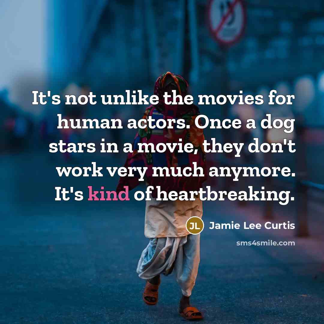 “It's not unlike the movies for human actors. Once a…” quote by Jamie Lee Curtis