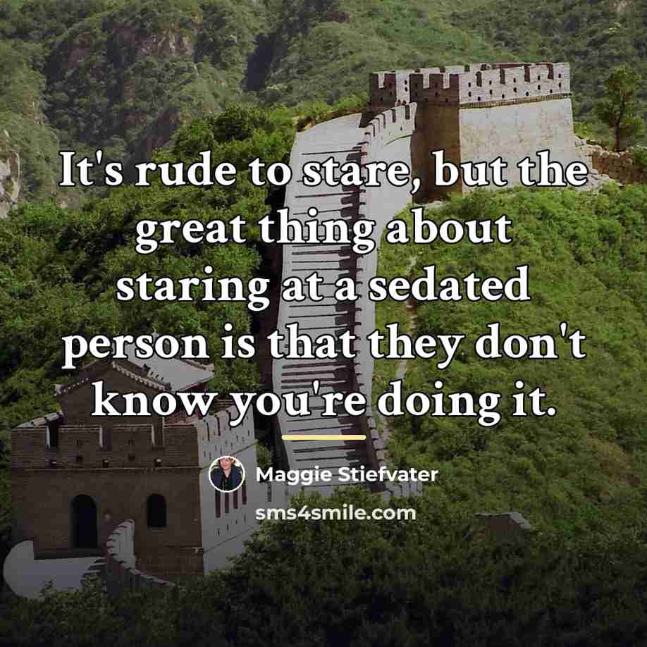 “It's rude to stare, but the great thing about staring…” quote by Maggie Stiefvater