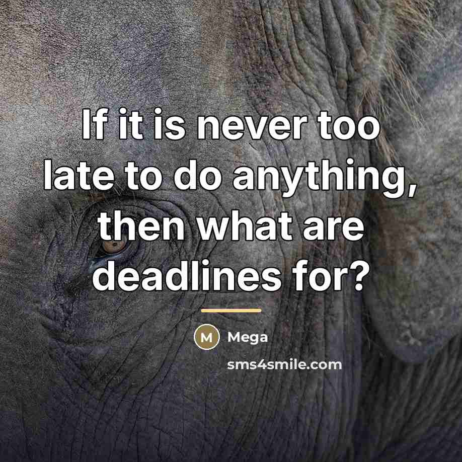 “If it is never too late to do anything, then…” quote by Mega