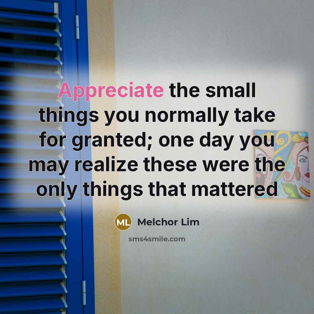 “Appreciate the small things you normally take for granted; one…” quote by Melchor Lim