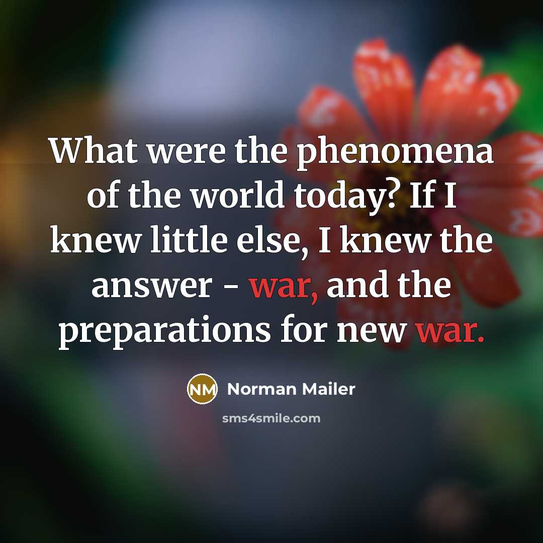 “What were the phenomena of the world today? If I…” quote by Norman Mailer