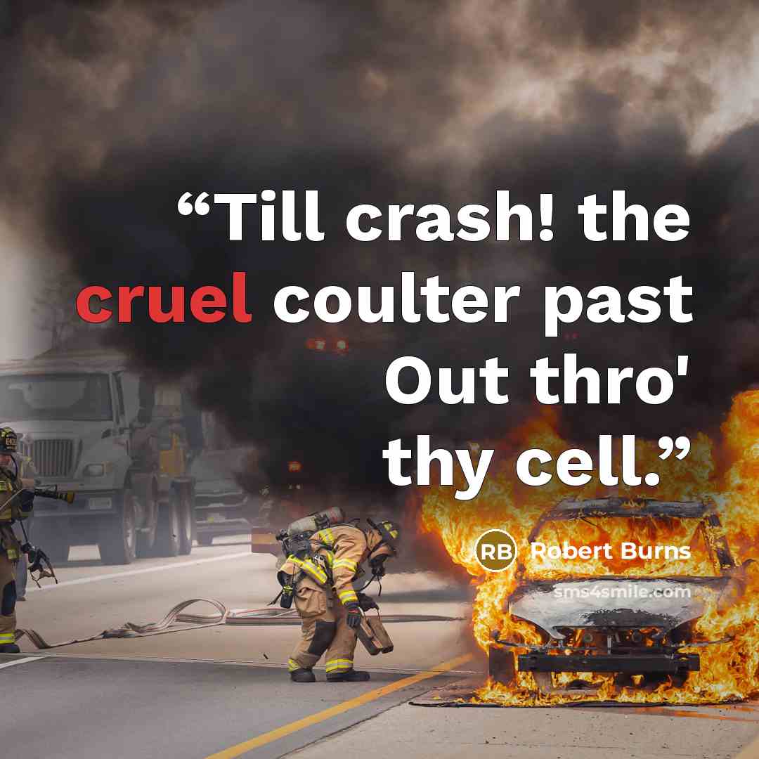 “Till crash! the cruel coulter past Out thro' thy cell.” quote by Robert Burns