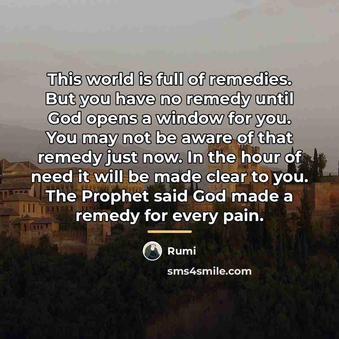 “This world is full of remedies. But you have no…” quote by Rumi