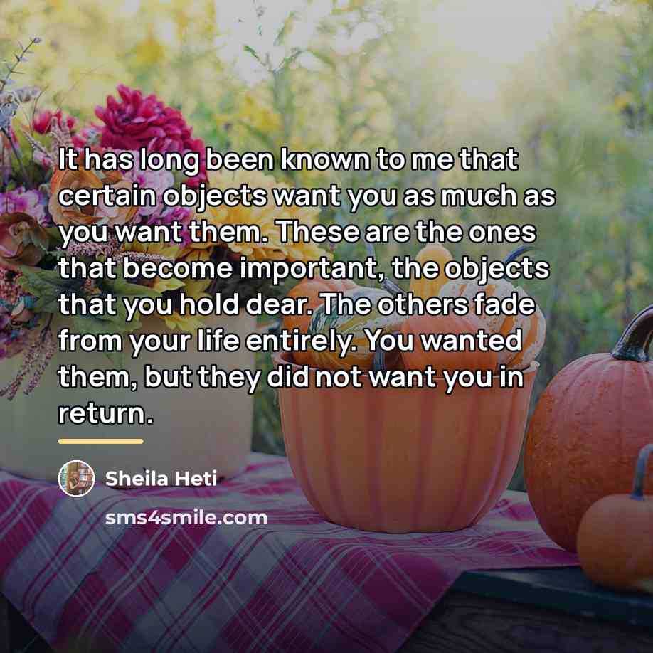 “It has long been known to me that certain objects…” quote by Sheila Heti