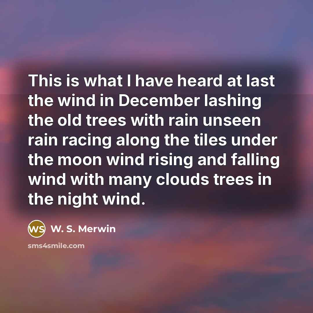 “This is what I have heard at last the wind…” quote by W. S. Merwin