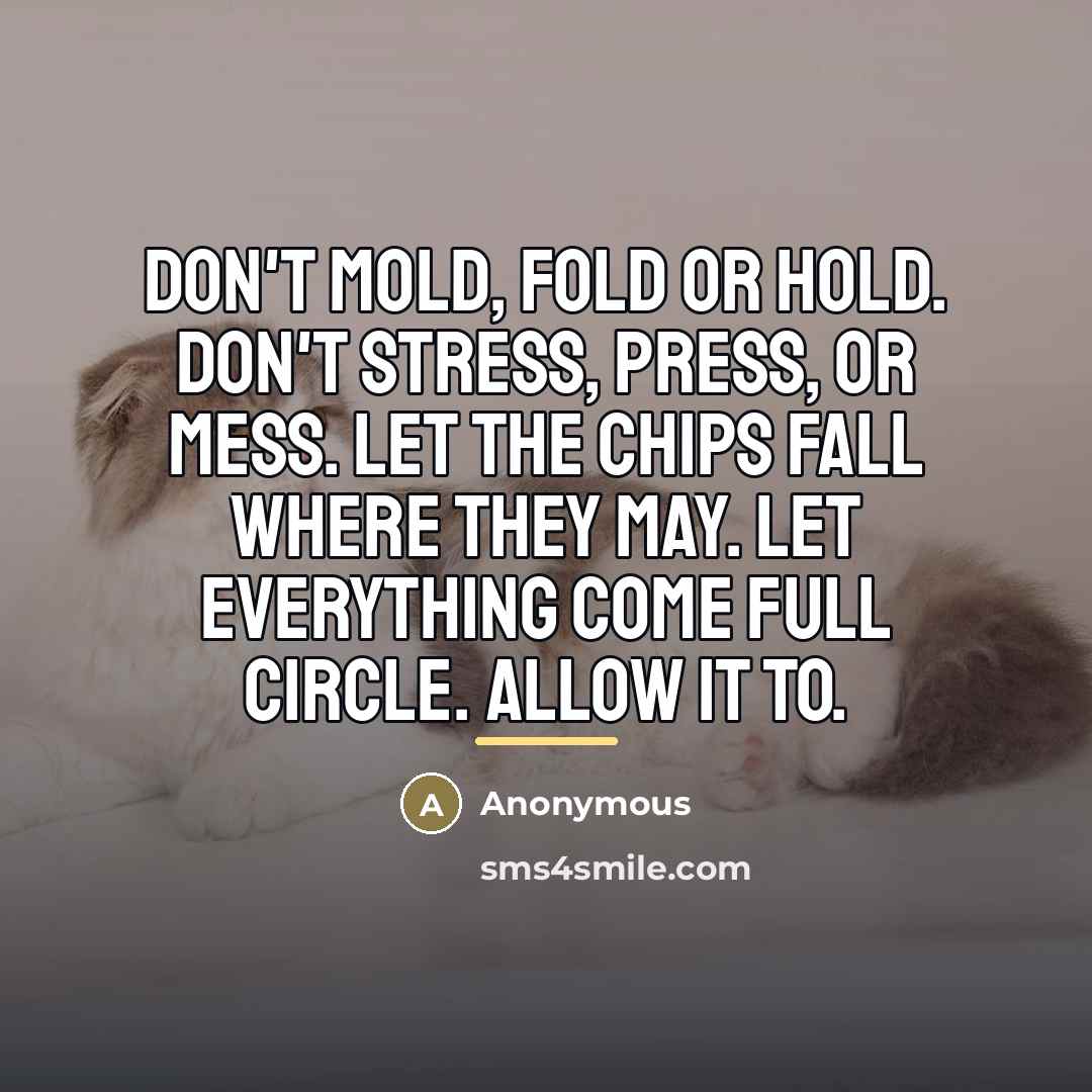 “Don't mold, fold or hold. Don't stress, press, or mess.…” quote by Anonymous