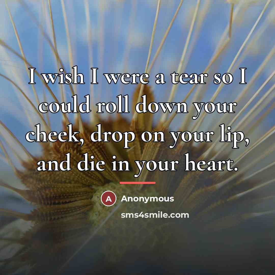 “I wish I were a tear so I could roll…” quote by Anonymous