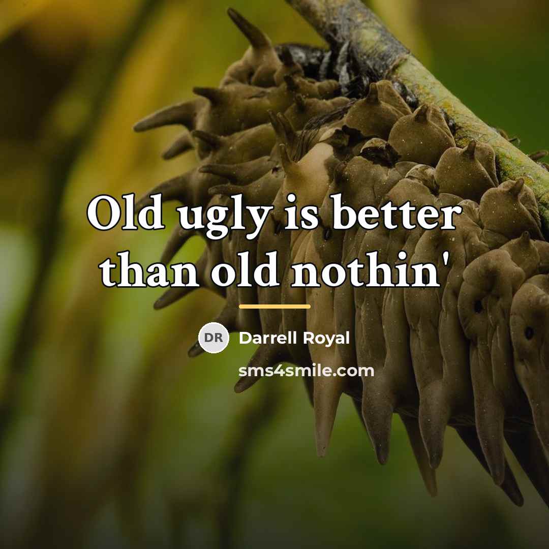 “Old ugly is better than old nothin'…” quote by Darrell Royal