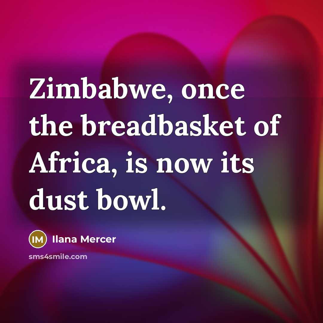 “Zimbabwe, once the breadbasket of Africa, is now its dust bowl.” quote by Ilana Mercer