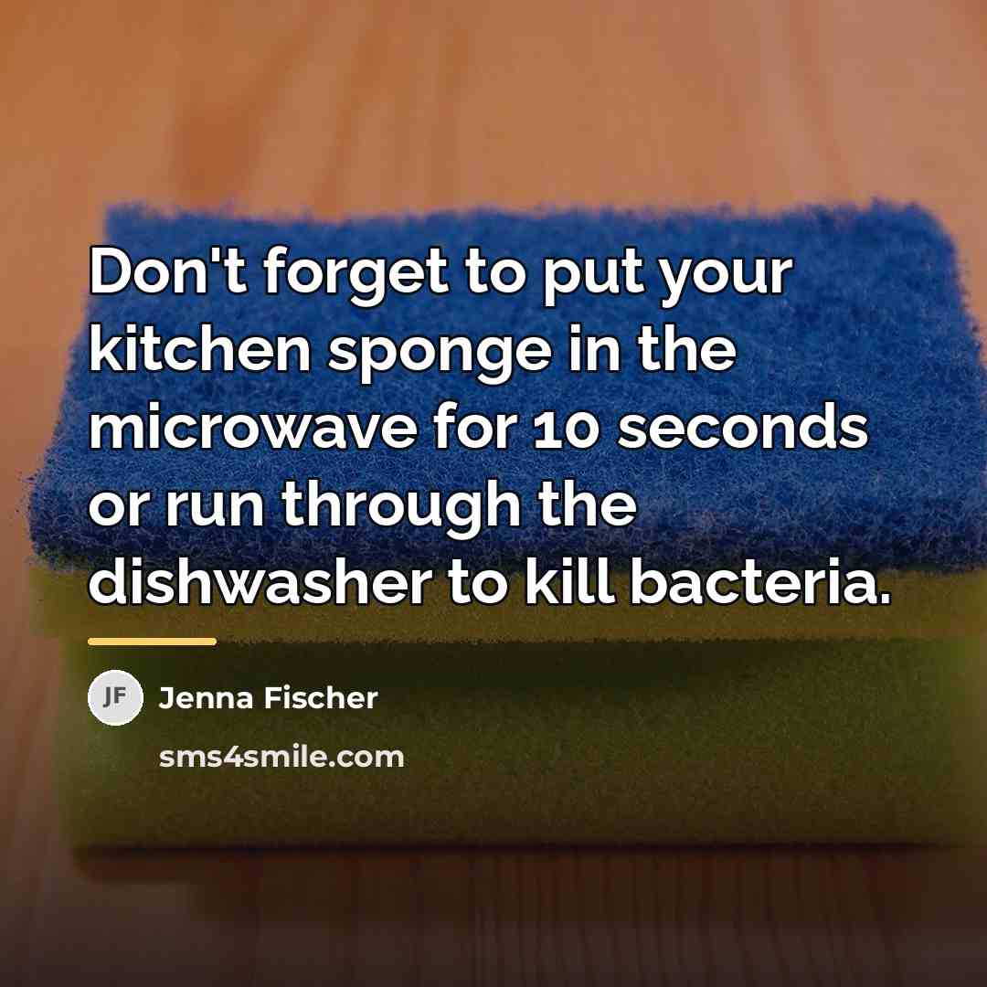 “Don't forget to put your kitchen sponge in the microwave…” quote by Jenna Fischer