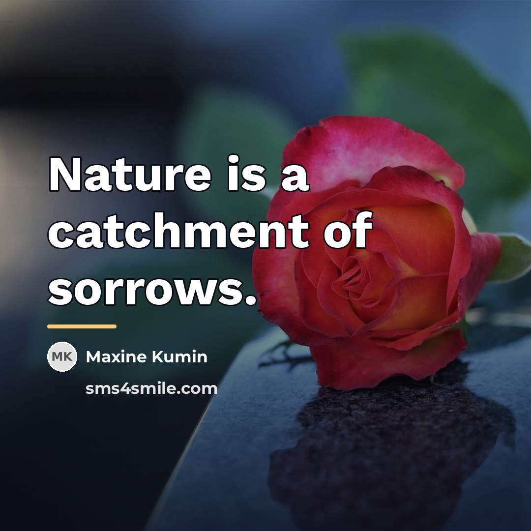 “Nature is a catchment of sorrows.…” quote by Maxine Kumin