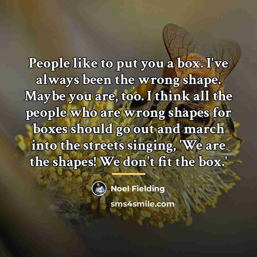 “People like to put you a box. I've always been…” quote by Noel Fielding