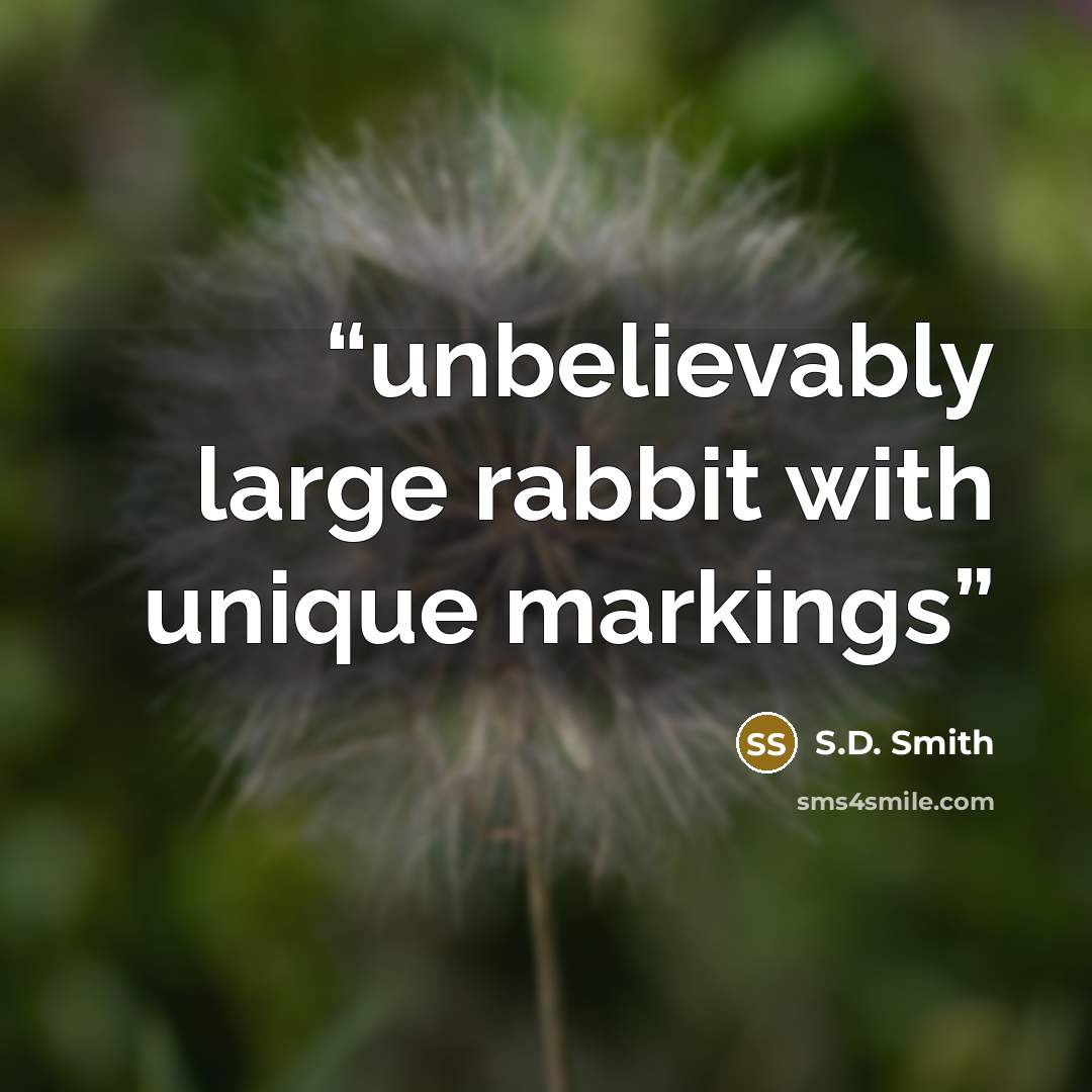 “unbelievably large rabbit with unique markings” quote by S.D. Smith