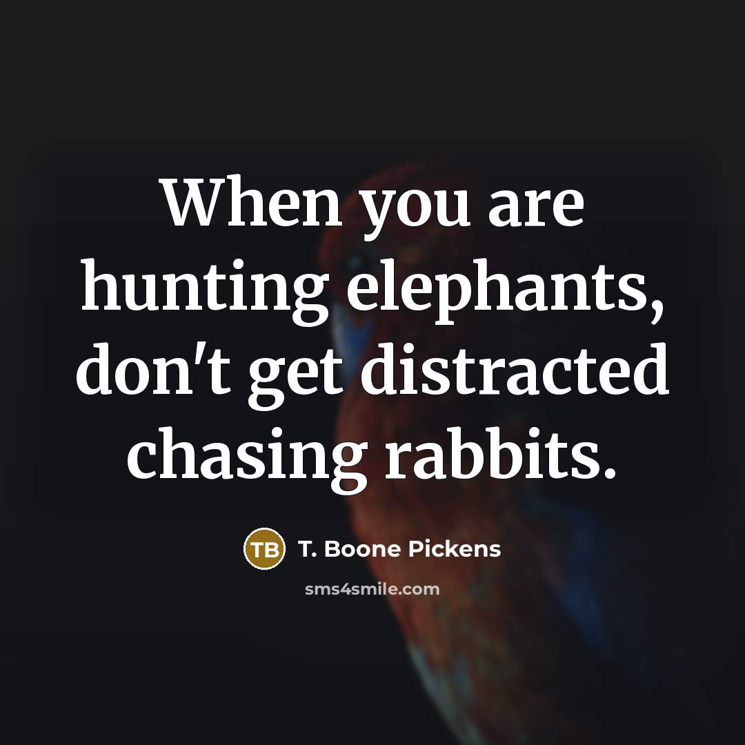 “When you are hunting elephants, don't get distracted chasing rabbits.” quote by T. Boone Pickens