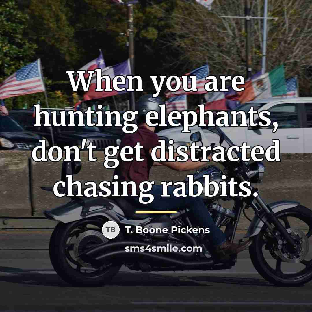 “When you are hunting elephants, don't get distracted chasing rabbits.…” quote by T. Boone Pickens