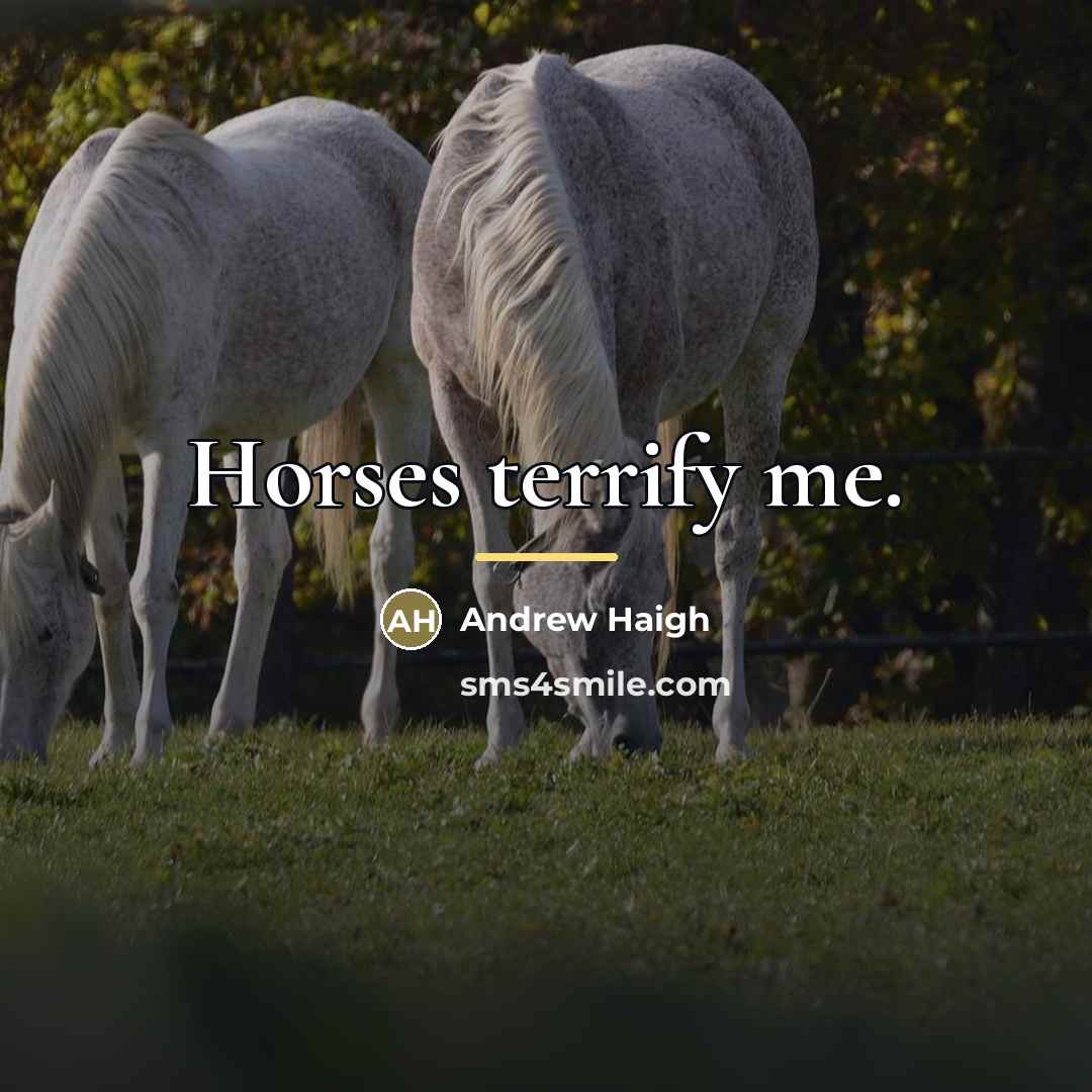 “Horses terrify me.…” quote by Andrew Haigh