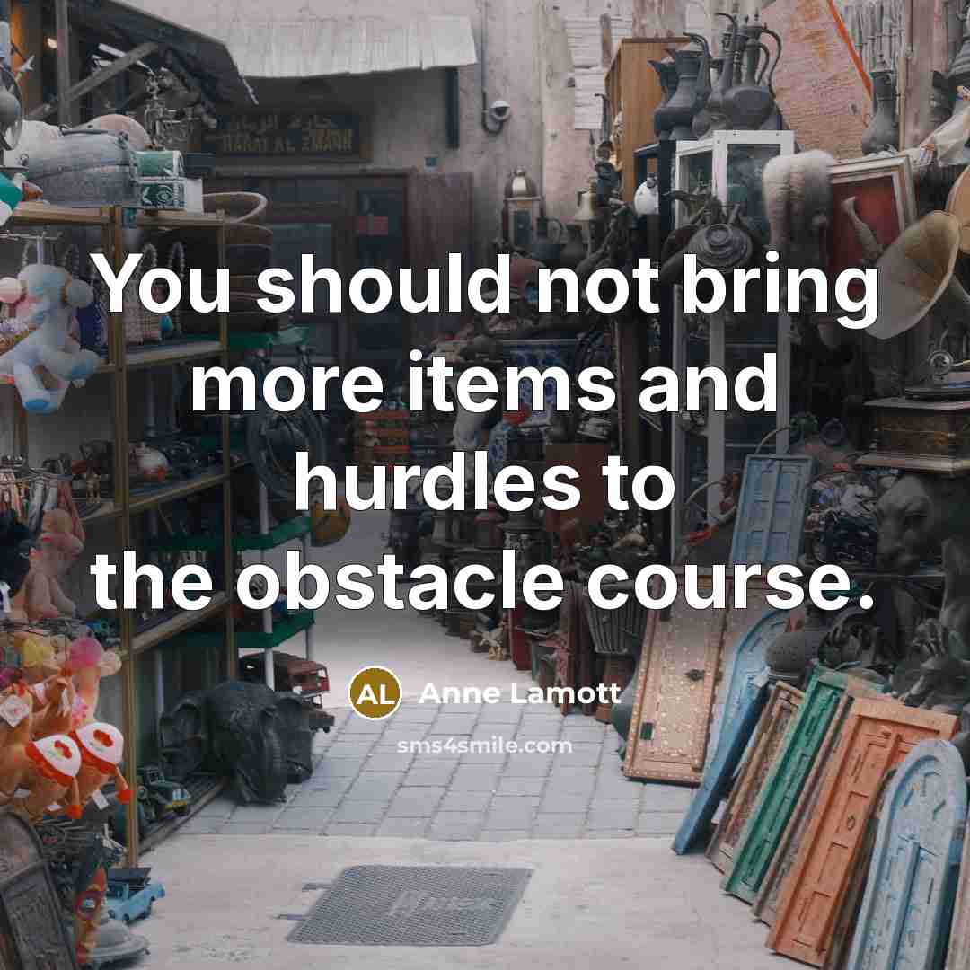 “You should not bring more items and hurdles to the…” quote by Anne Lamott