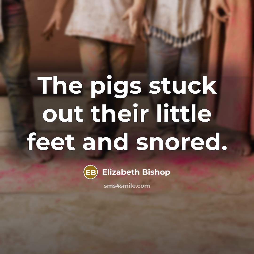 “The pigs stuck out their little feet and snored.…” quote by Elizabeth Bishop