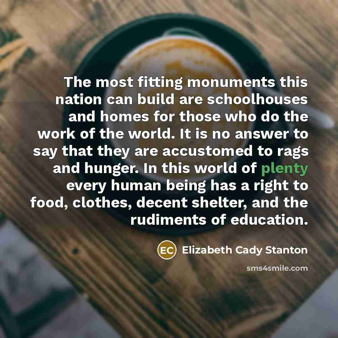 “The most fitting monuments this nation can build are schoolhouses…” quote by Elizabeth Cady Stanton