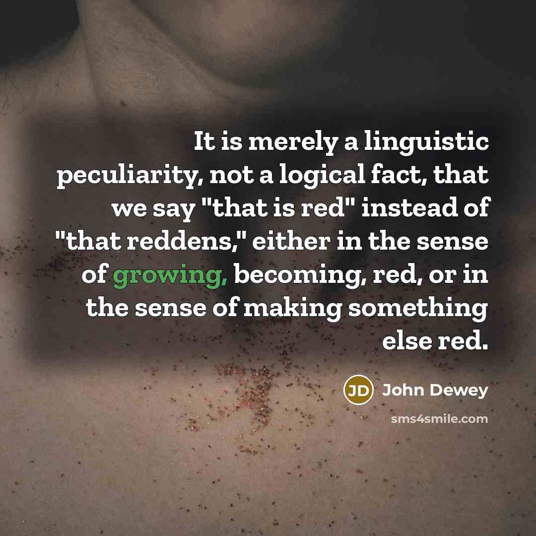 “It is merely a linguistic peculiarity, not a logical fact,…” quote by John Dewey
