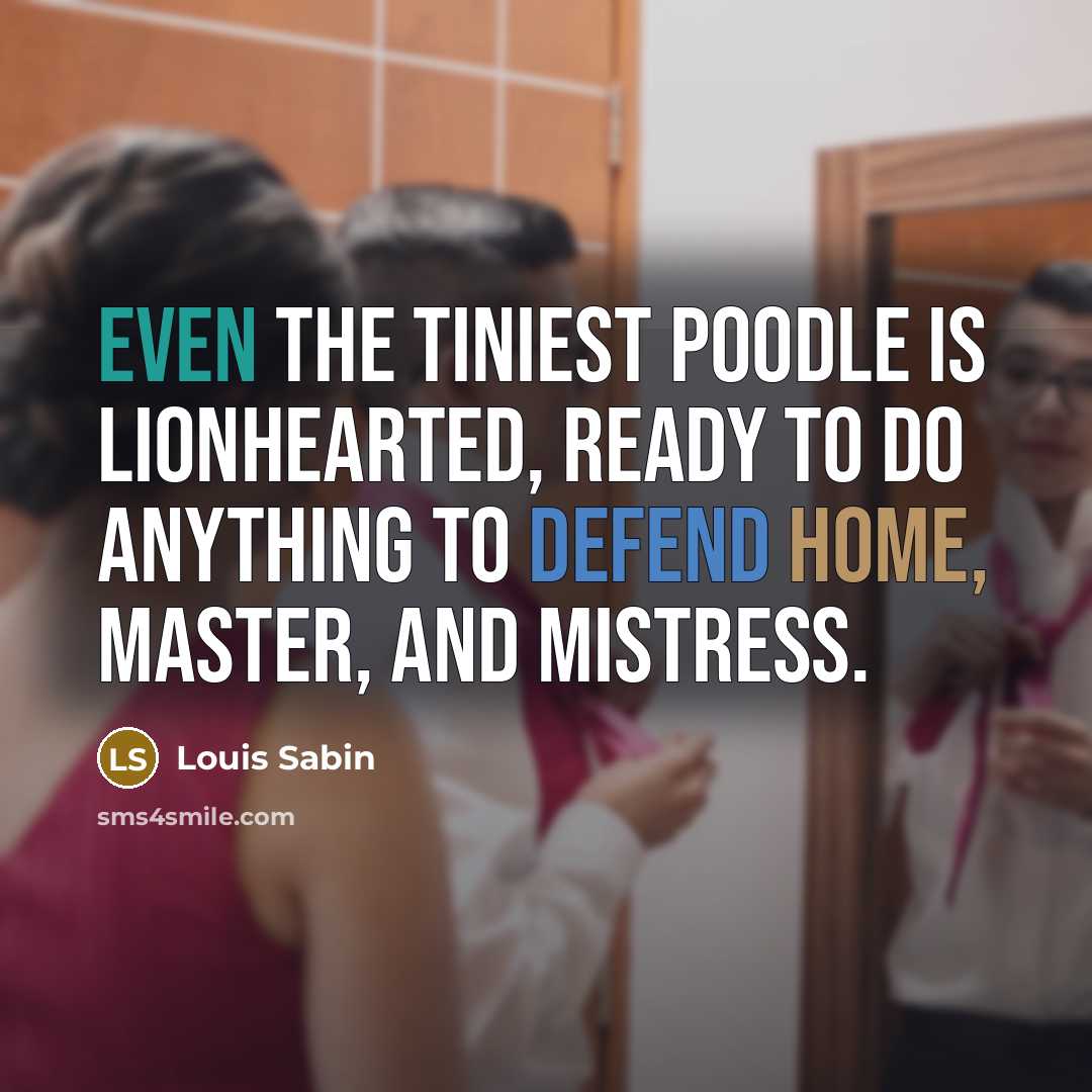“Even the tiniest poodle is lionhearted, ready to do anything to defend home, master, and mistress.” quote by Louis Sabin