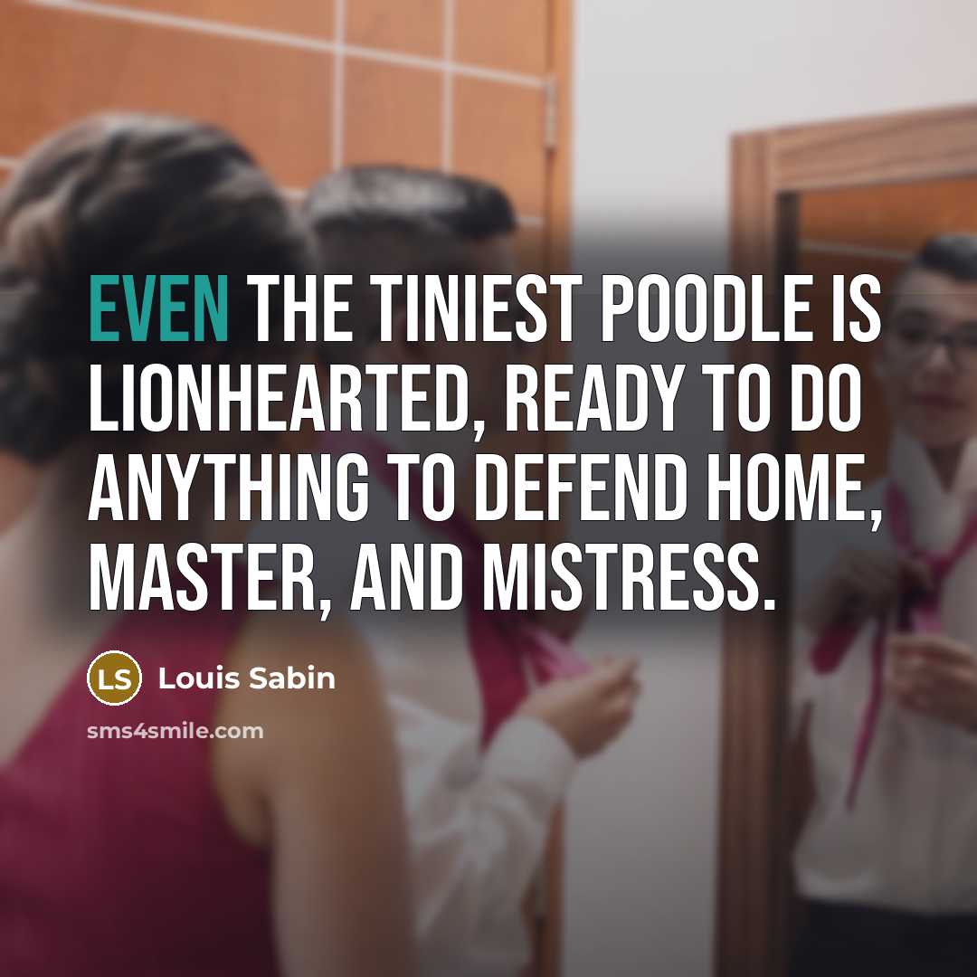 “Even the tiniest poodle is lionhearted, ready to do anything…” quote by Louis Sabin