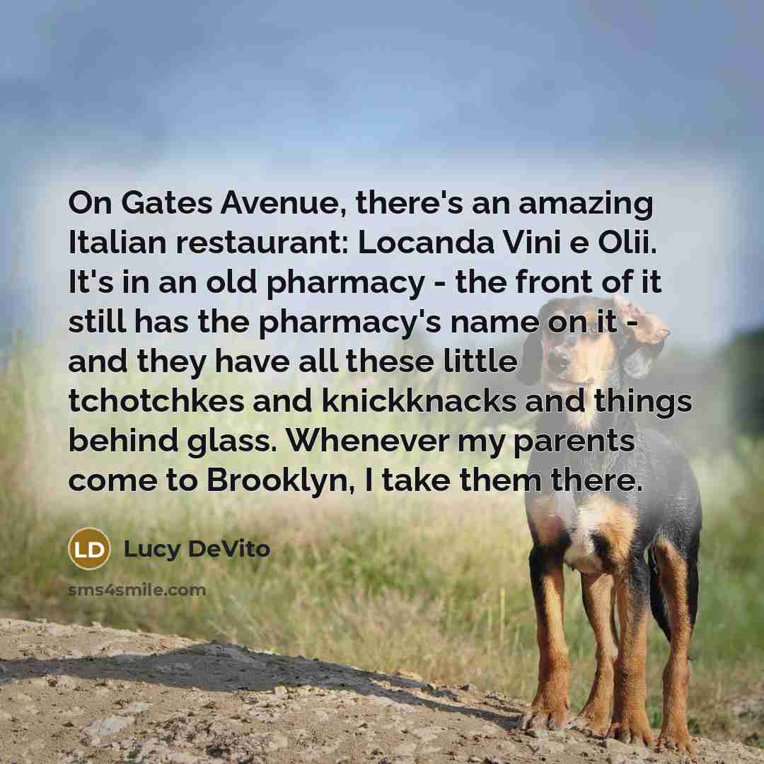 “On Gates Avenue, there's an amazing Italian restaurant: Locanda Vini…” quote by Lucy DeVito
