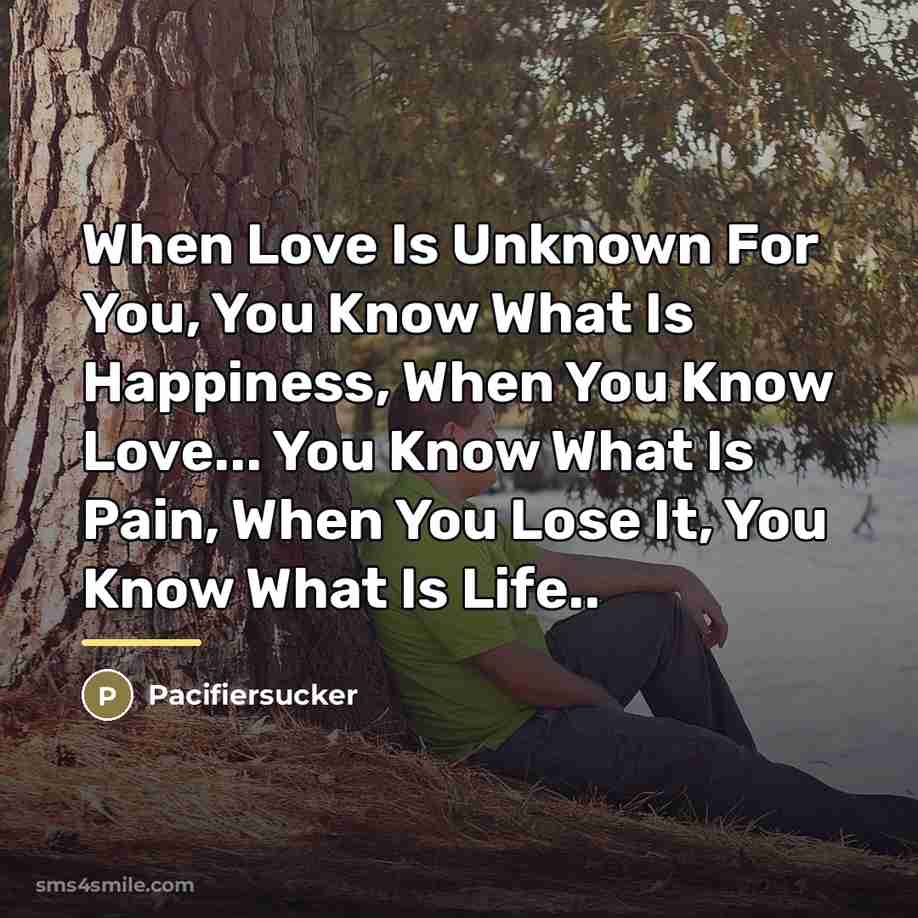 “When Love Is Unknown For You, You Know What Is…” quote by Pacifiersucker