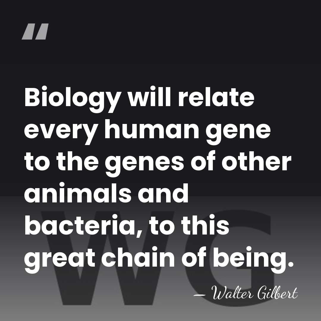 Biology will relate every human gene to the genes of other animals&hellip; - Walter Gilbert