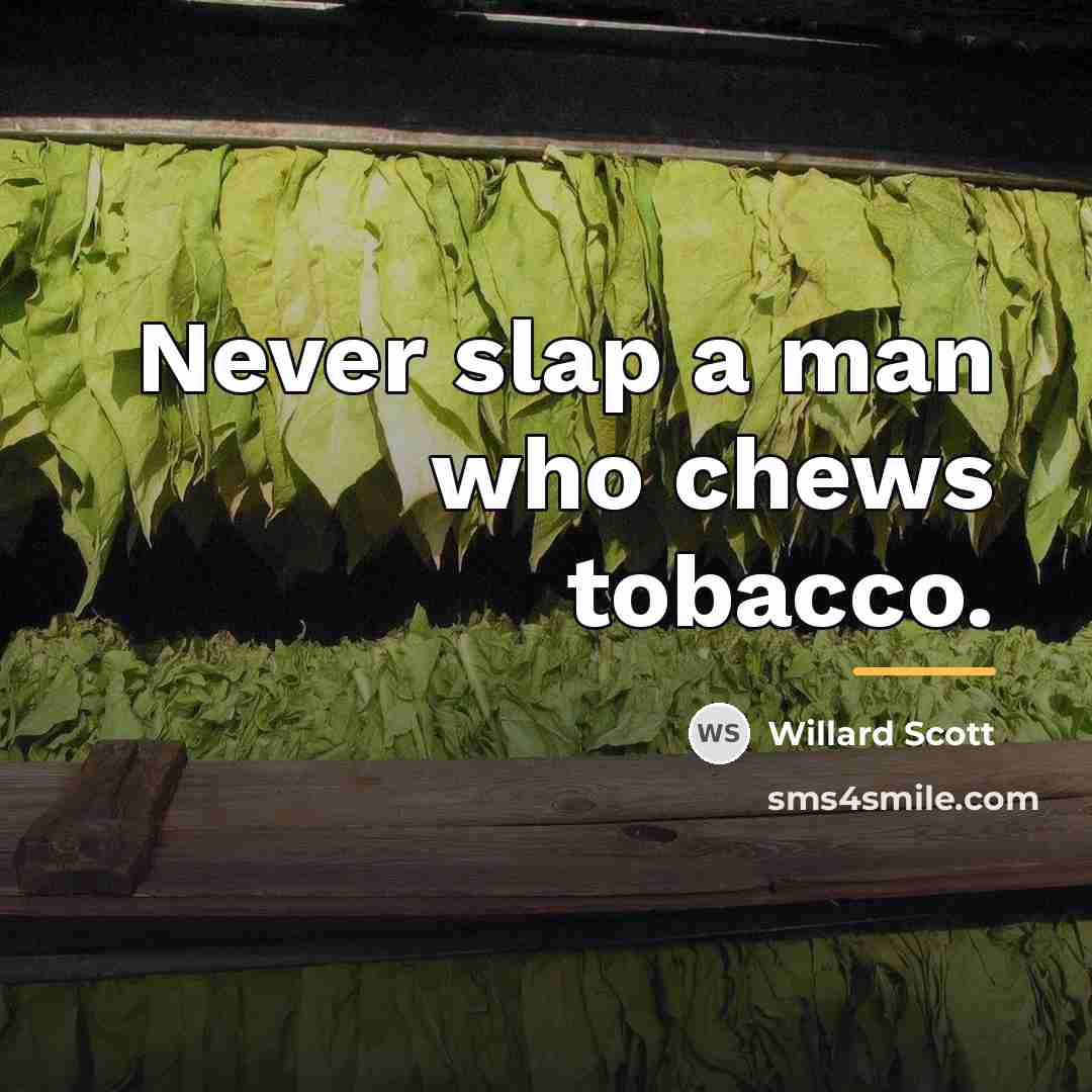 “Never slap a man who chews tobacco.…” quote by Willard Scott