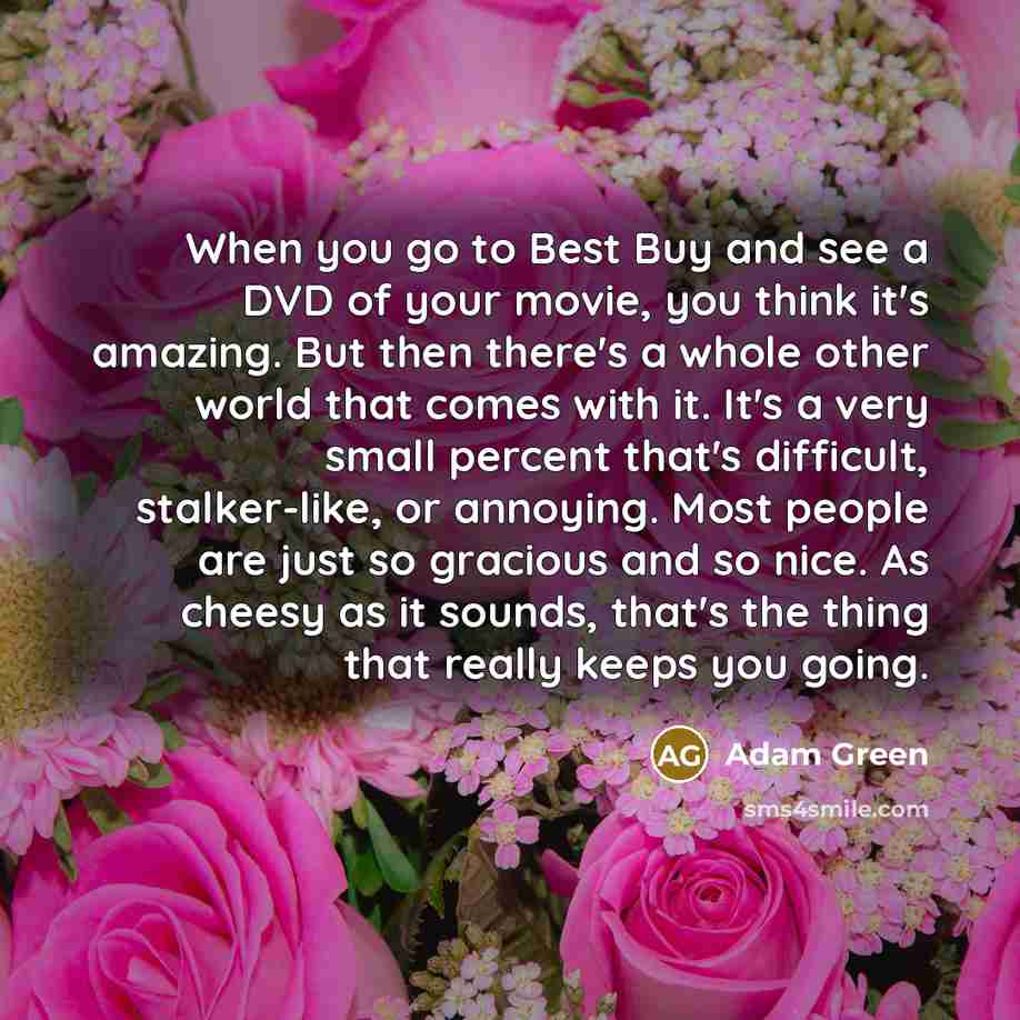 “When you go to Best Buy and see a DVD…” quote by Adam Green