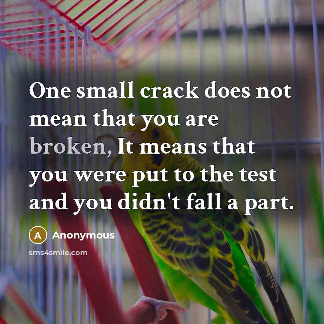 “One small crack does not mean that you are broken, It means that you were put to the test and you didn't fall a part.” quote by Anonymous