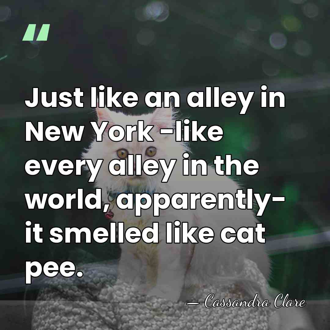 Just like an alley in New York -like every alley in the&hellip; - Cassandra Clare