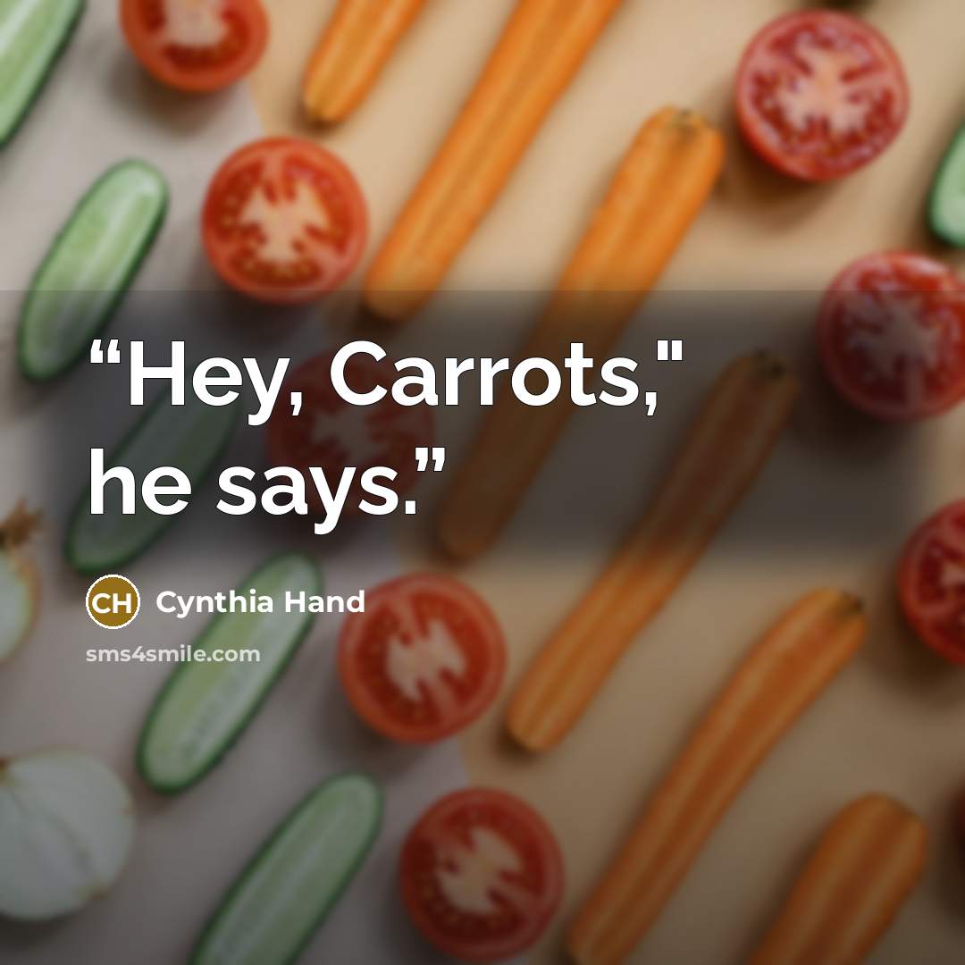 “Hey, Carrots," he says.” quote by Cynthia Hand
