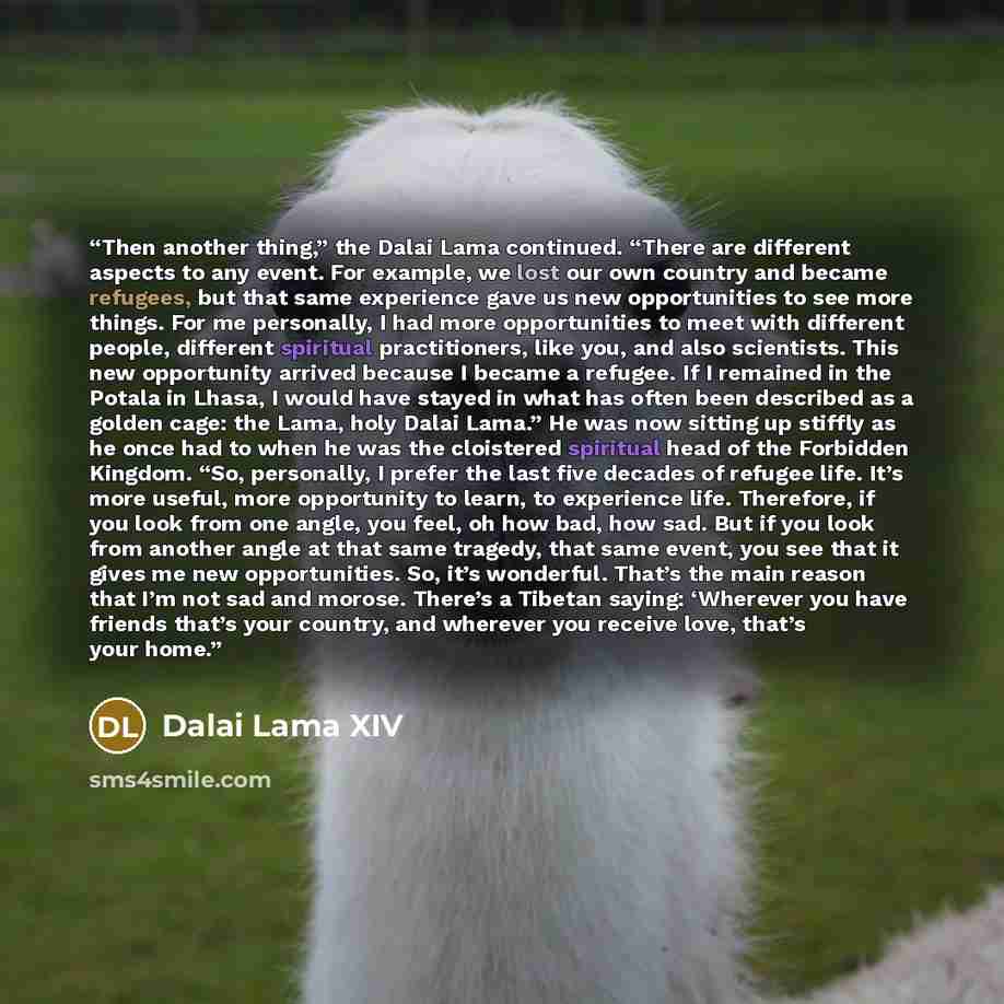 “Then another thing,” the Dalai Lama continued. “There are different aspects to any event. For example, we lost our own country and became refugees, but that same experience gave us new opportunities to see more things. For me personally, I had more opportunities to meet with different people…” quote by Dalai Lama XIV