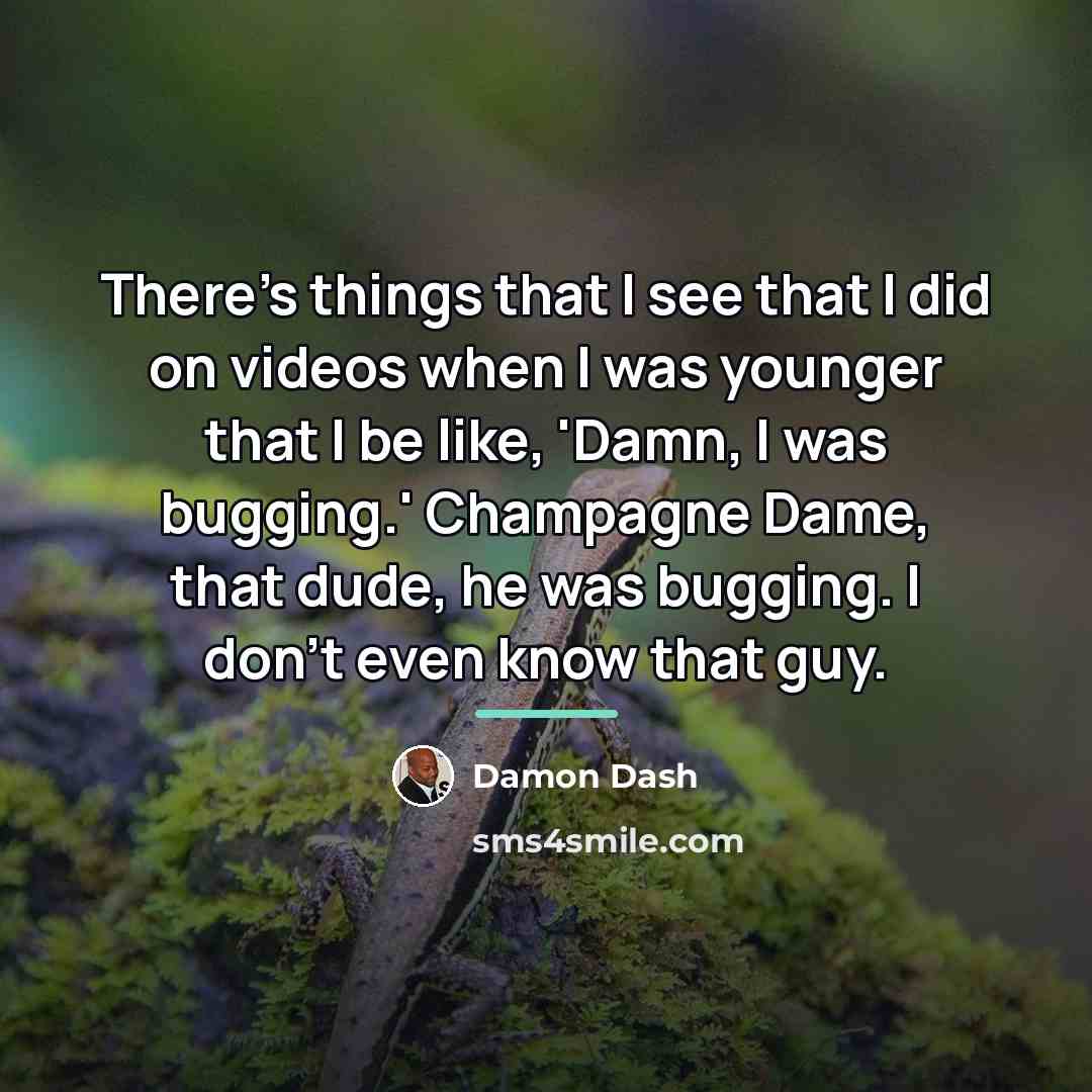 “There's things that I see that I did on videos…” quote by Damon Dash
