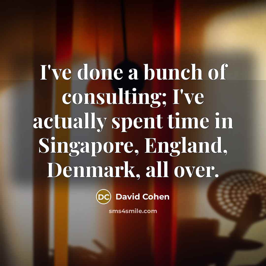 “I've done a bunch of consulting; I've actually spent time…” quote by David Cohen